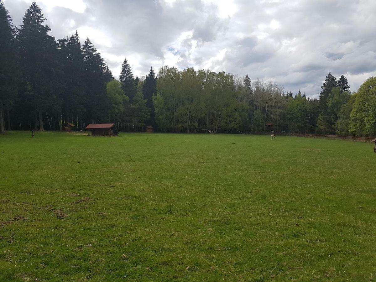 Pension Villa Berolina Mariánské Lázně Kültér fotó